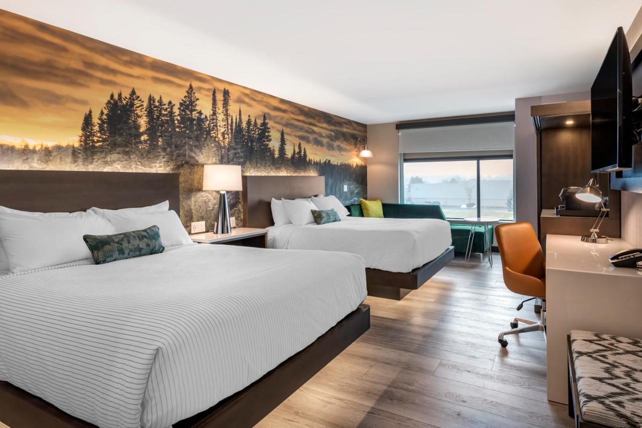 Cambria Hotel Shelby Township - Detroit Utica Shelby Twp エクステリア 写真