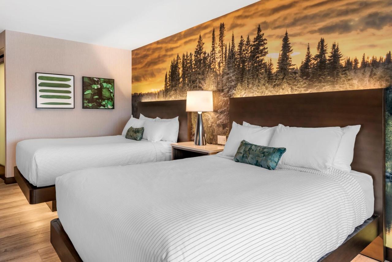 Cambria Hotel Shelby Township - Detroit Utica Shelby Twp エクステリア 写真