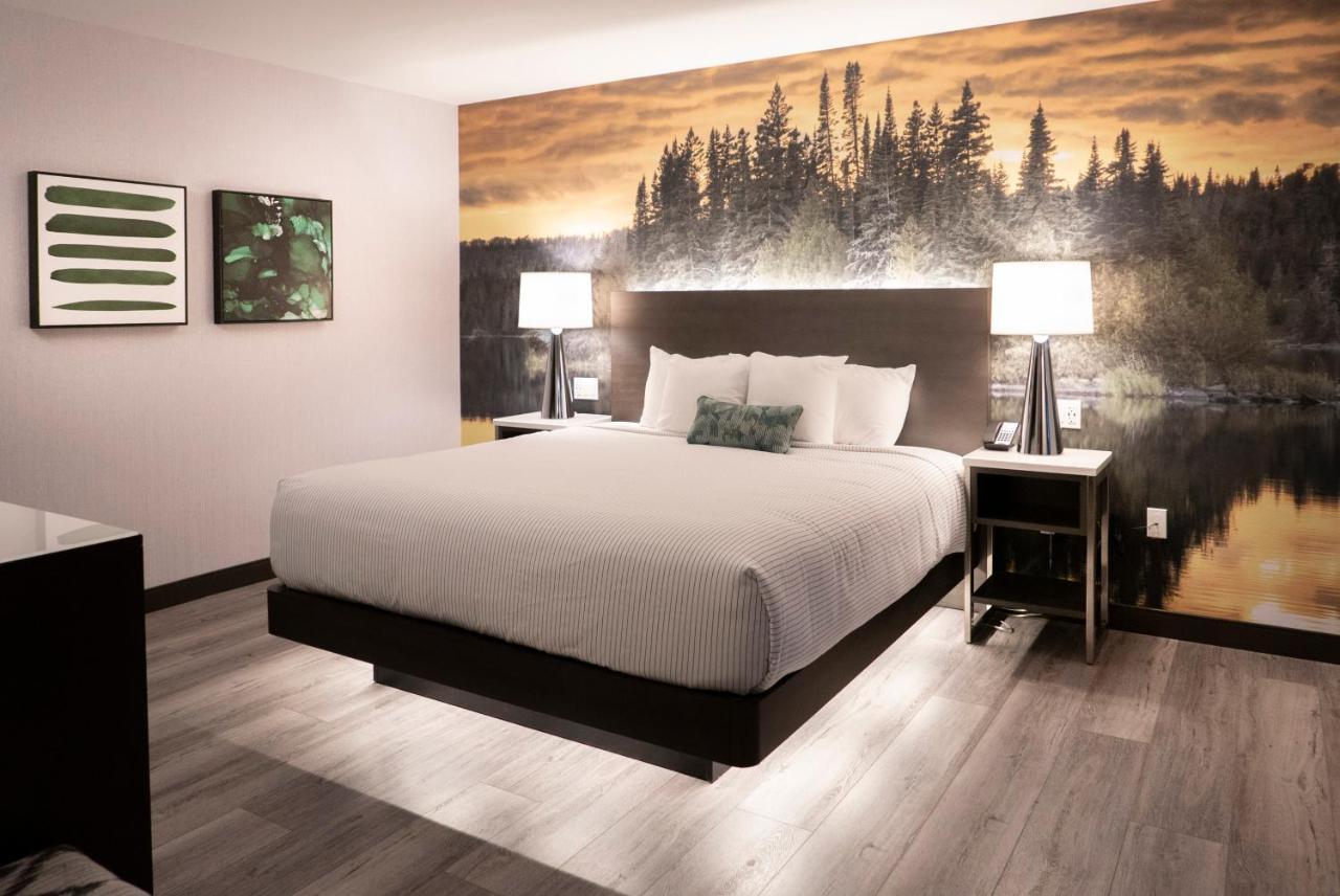 Cambria Hotel Shelby Township - Detroit Utica Shelby Twp エクステリア 写真