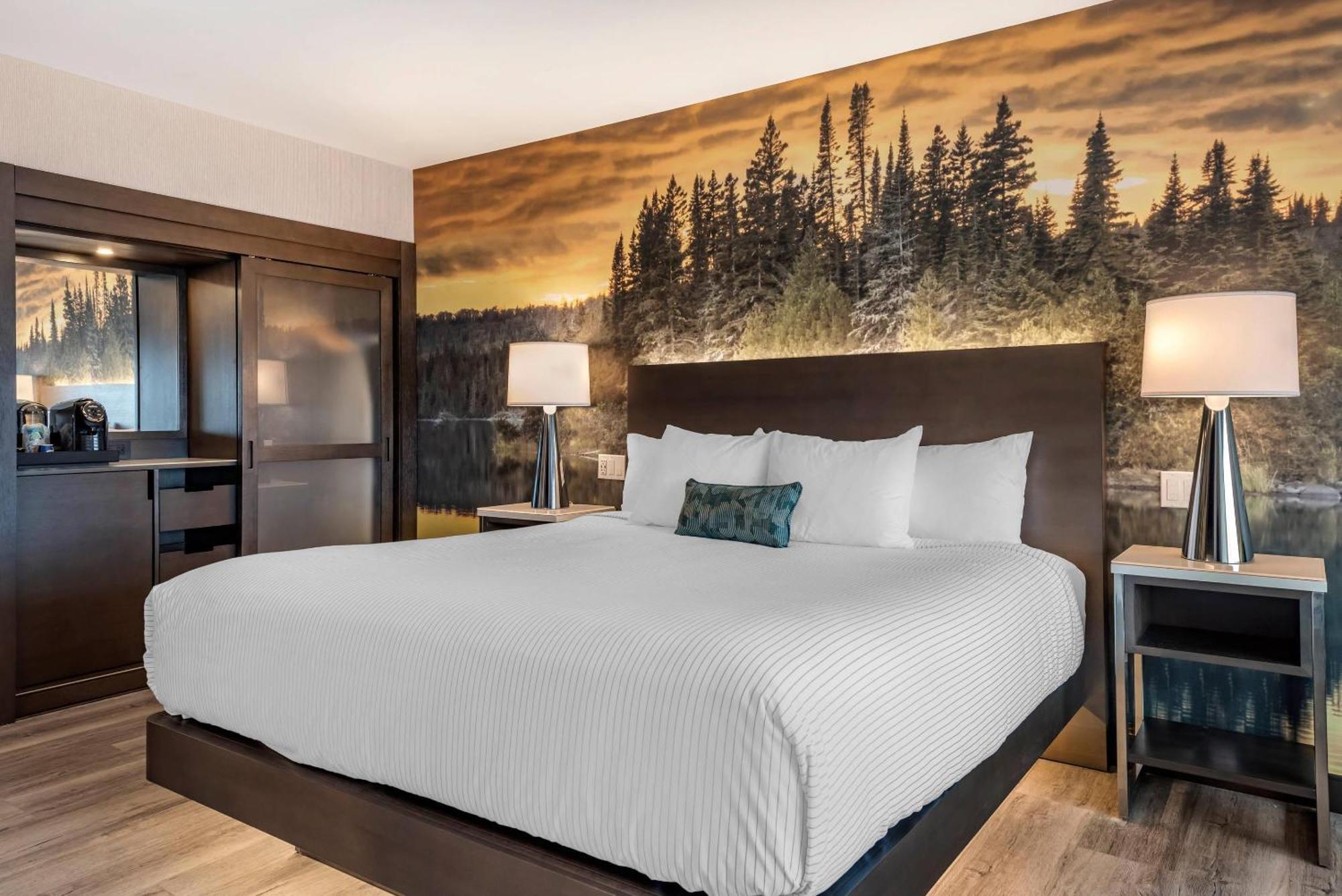 Cambria Hotel Shelby Township - Detroit Utica Shelby Twp エクステリア 写真