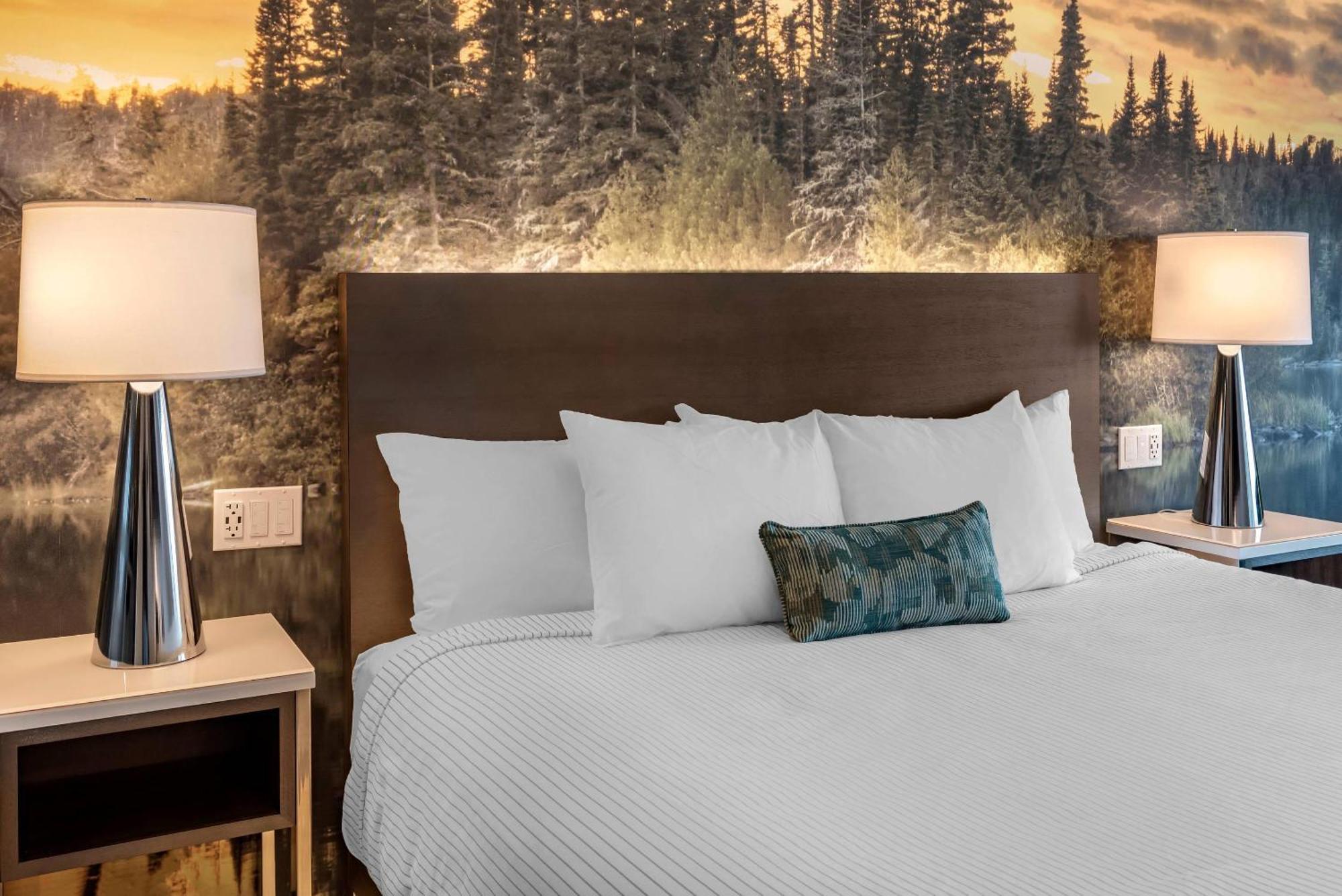 Cambria Hotel Shelby Township - Detroit Utica Shelby Twp エクステリア 写真