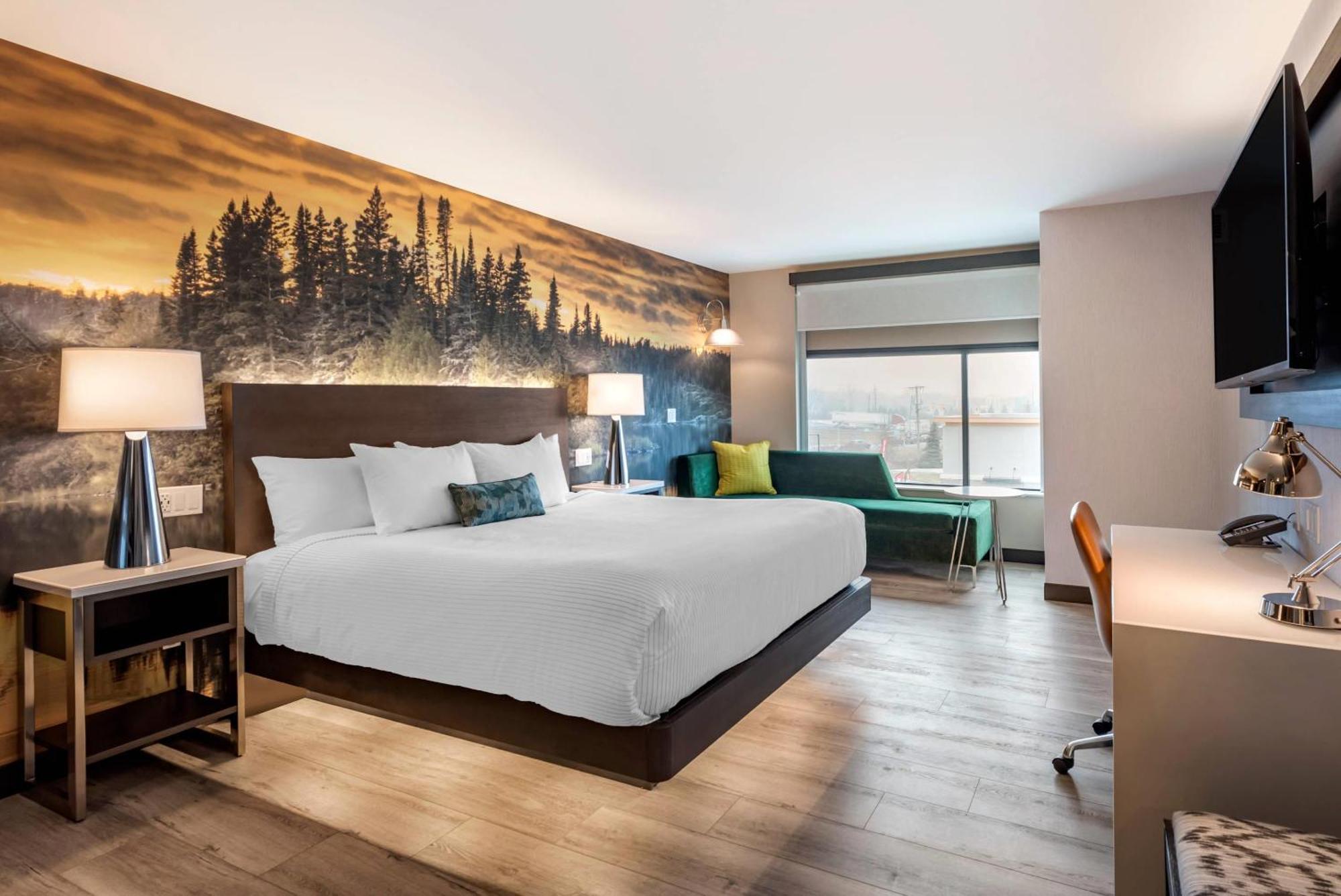 Cambria Hotel Shelby Township - Detroit Utica Shelby Twp エクステリア 写真