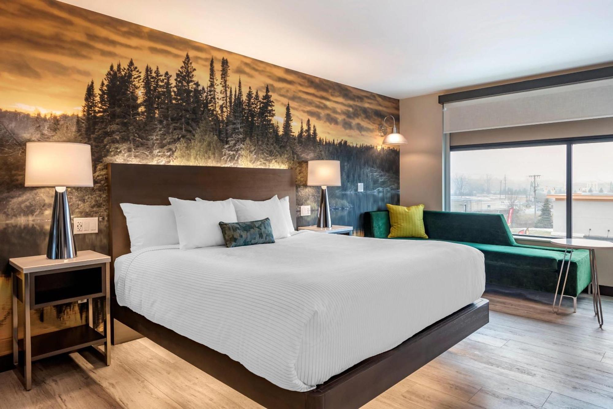 Cambria Hotel Shelby Township - Detroit Utica Shelby Twp エクステリア 写真